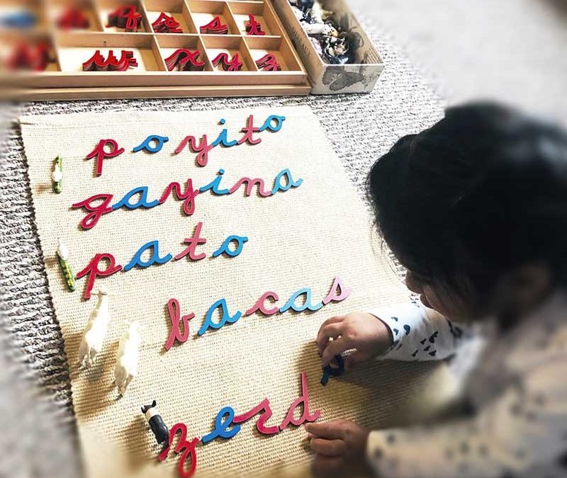 How To Teach Children To Read Part II (Richard Colombini Series)